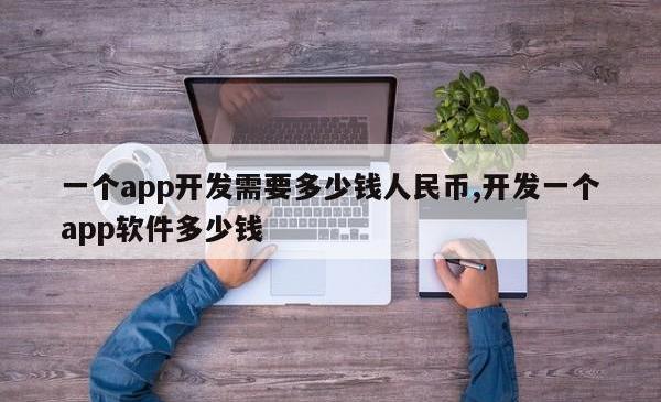 一个app开发需要多少钱人民币,开发一个app软件多少钱